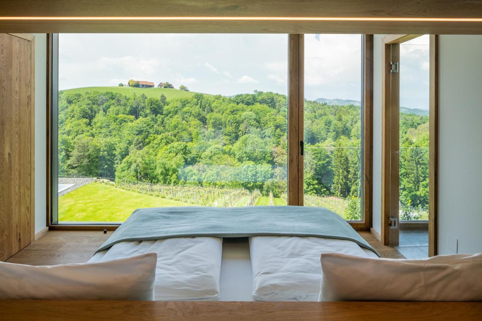 Steirerblicke - Am Winzerkogel Apartment Лайбниц Екстериор снимка