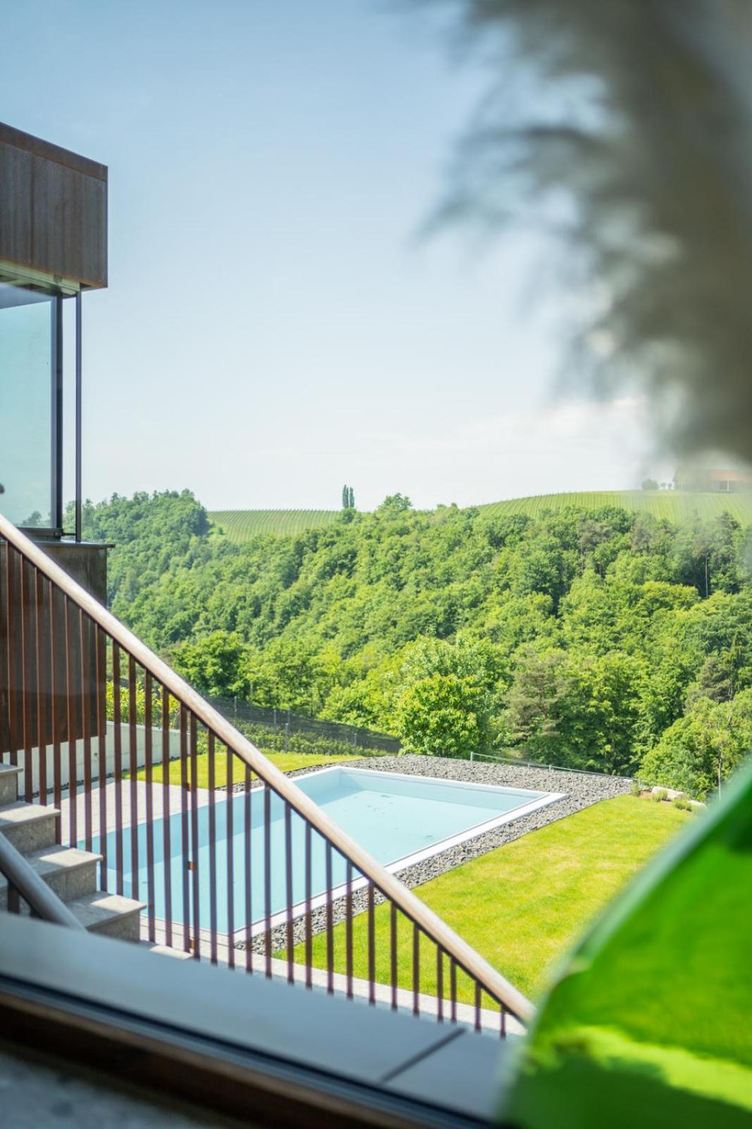 Steirerblicke - Am Winzerkogel Apartment Лайбниц Екстериор снимка